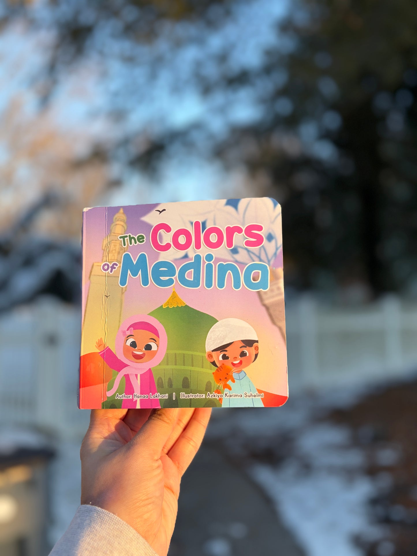 The Colors of Medina